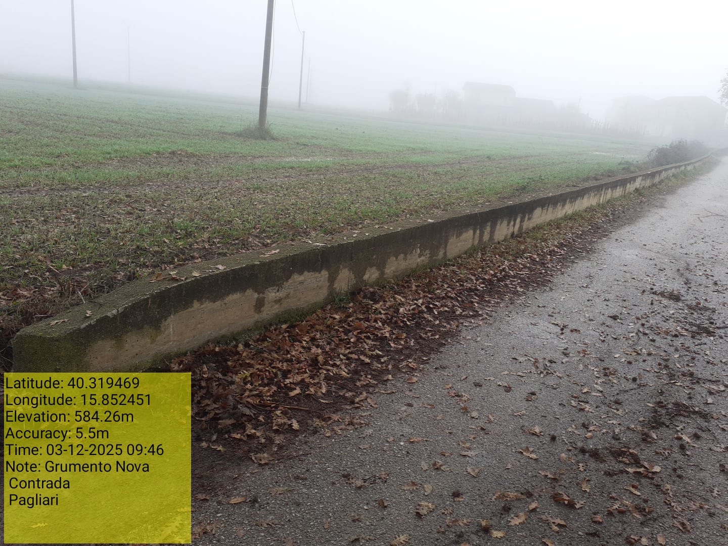 Galleria Fotografica Immagine