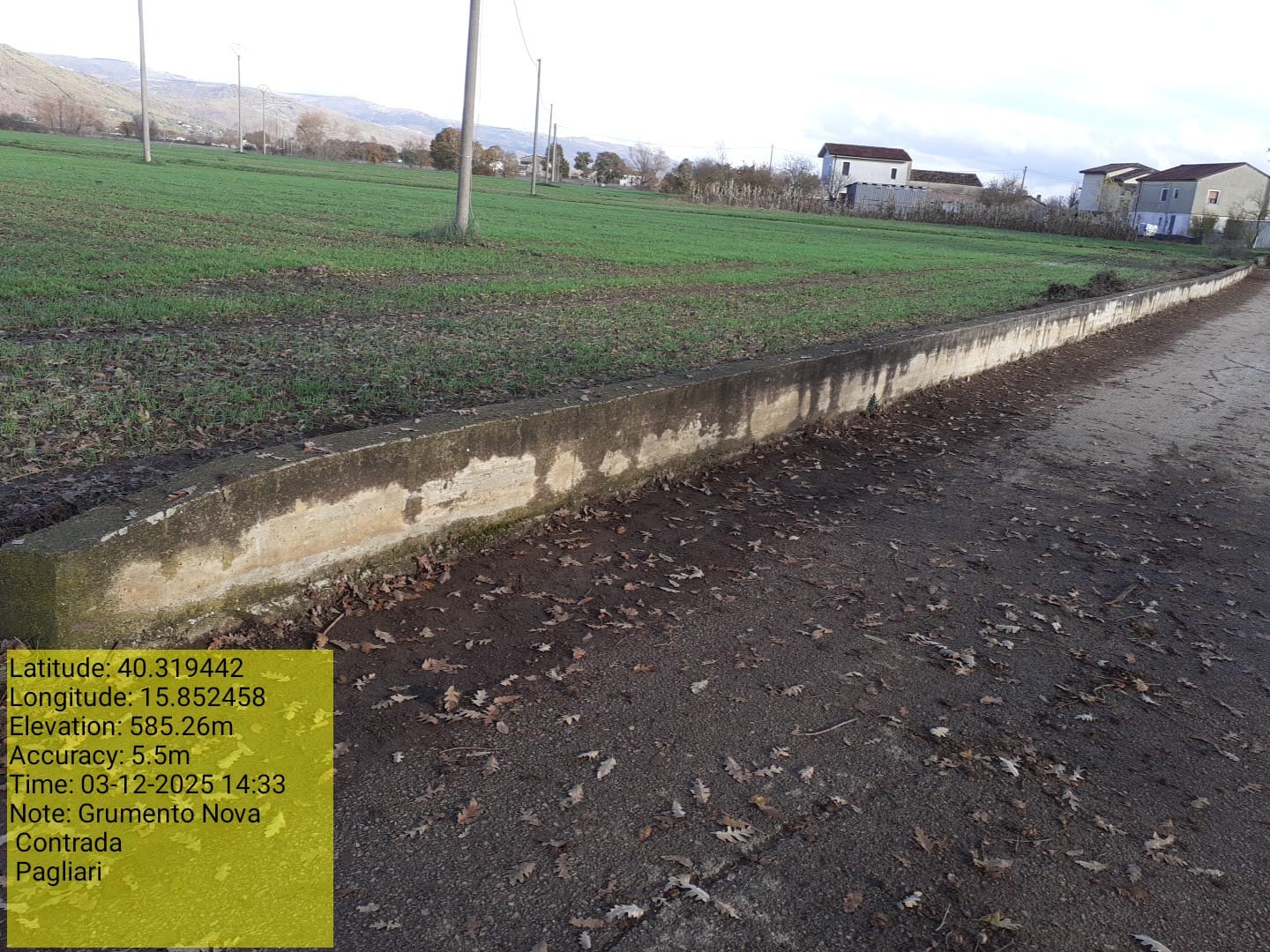 Galleria Fotografica Immagine