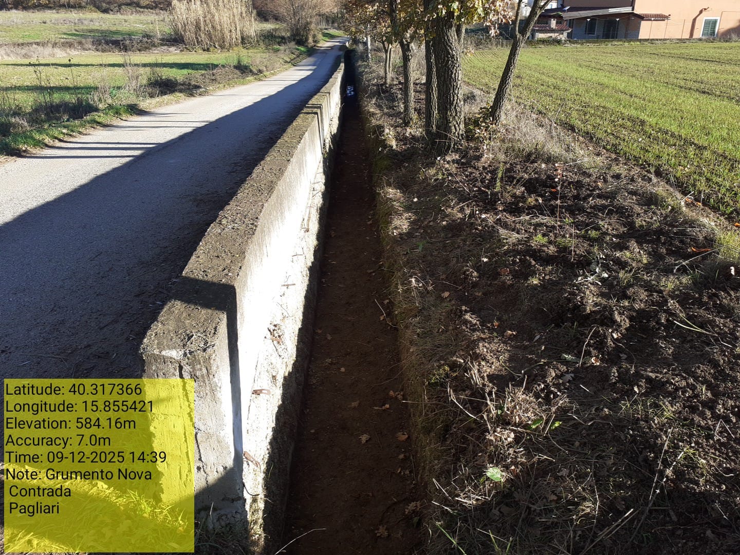 Galleria Fotografica Immagine