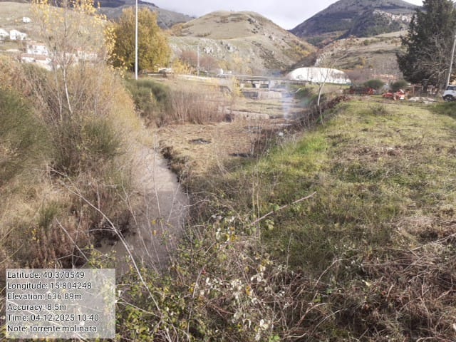 Galleria Fotografica Immagine