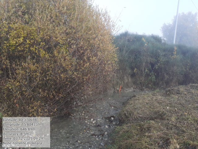 Galleria Fotografica Immagine