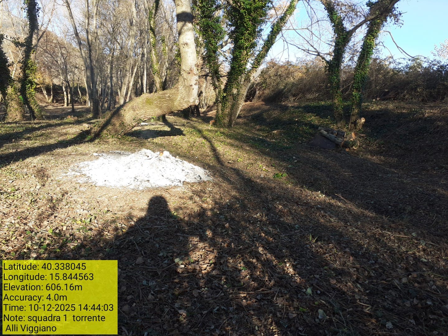 Galleria Fotografica Immagine