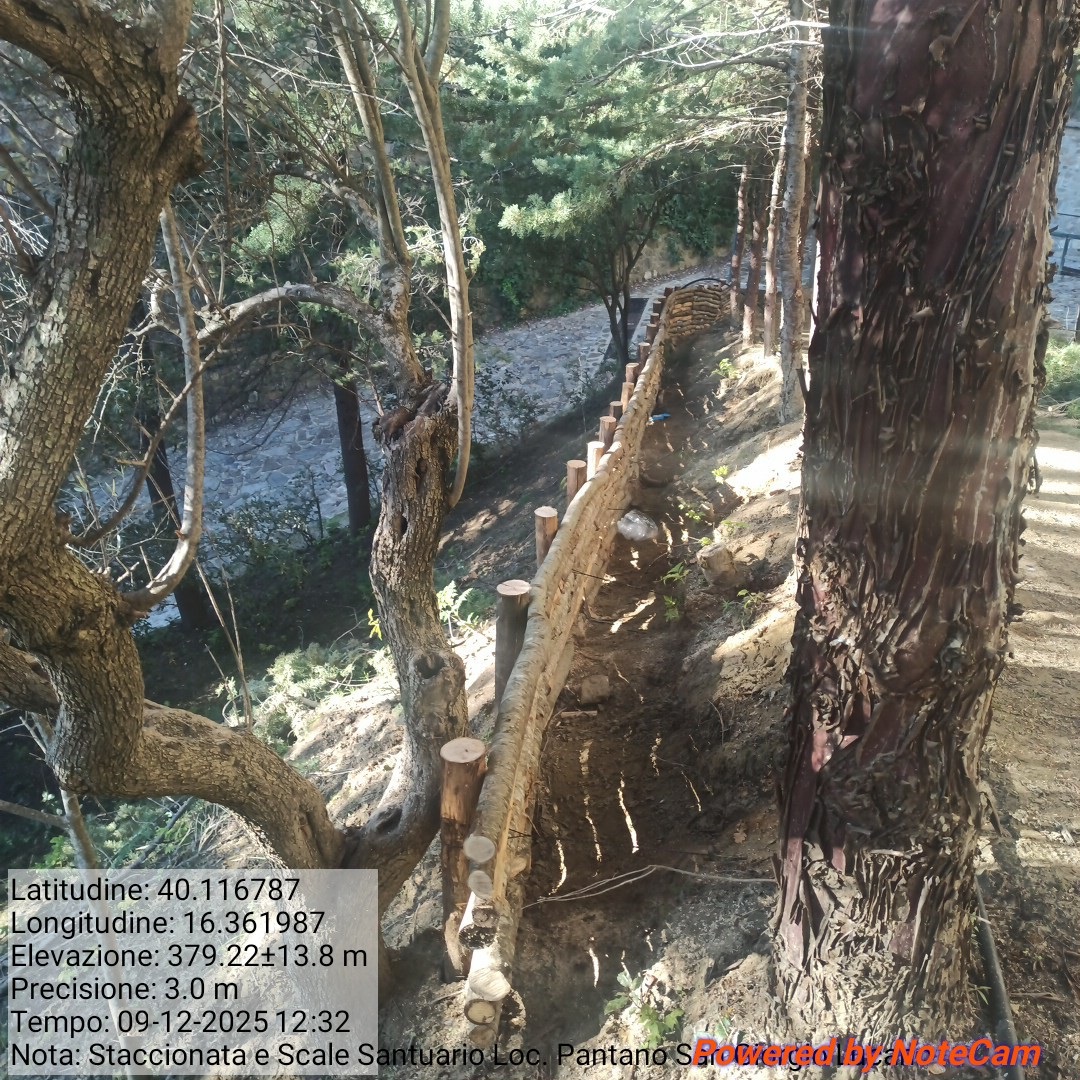 Galleria Fotografica Immagine