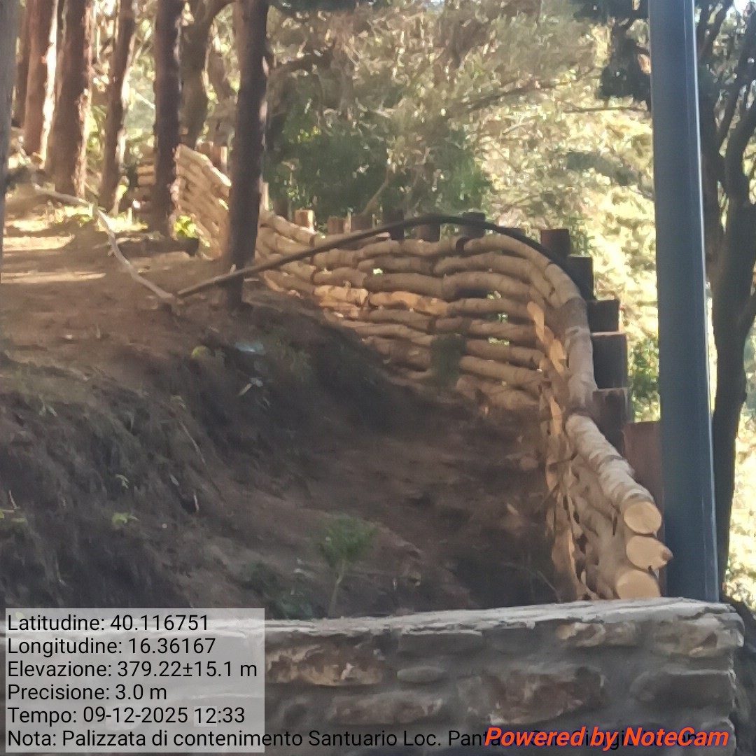 Galleria Fotografica Immagine