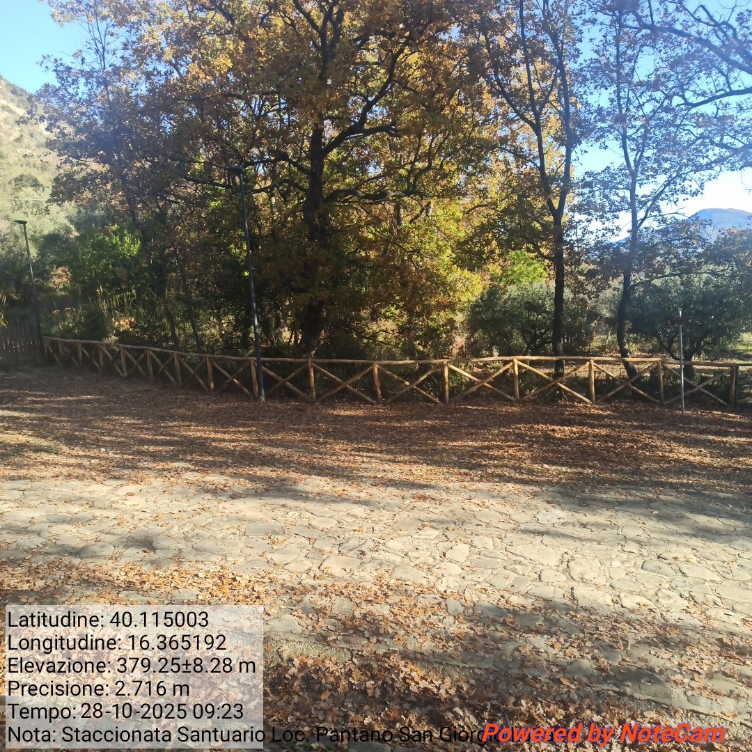 Galleria Fotografica Immagine