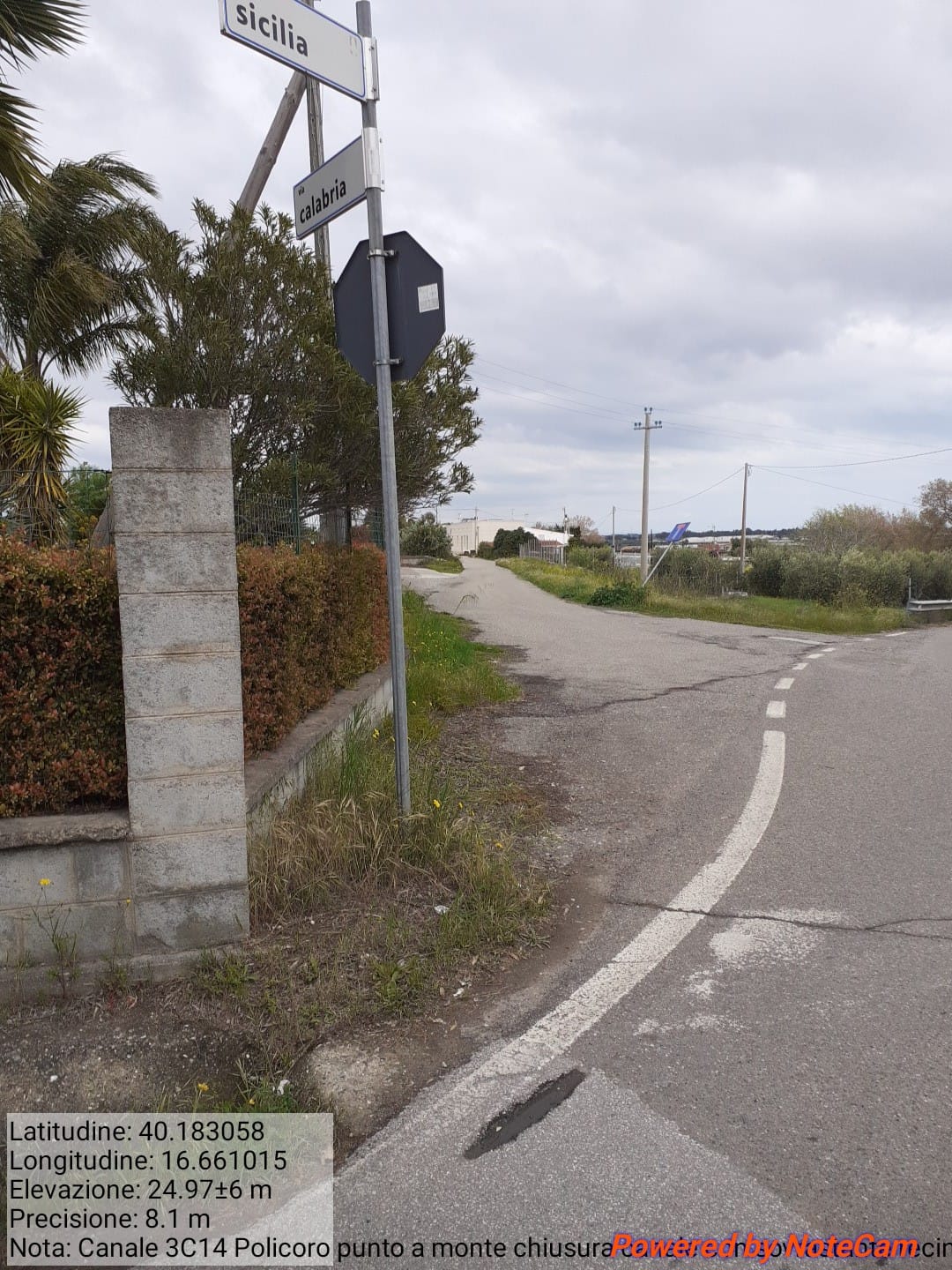 Galleria Fotografica Immagine