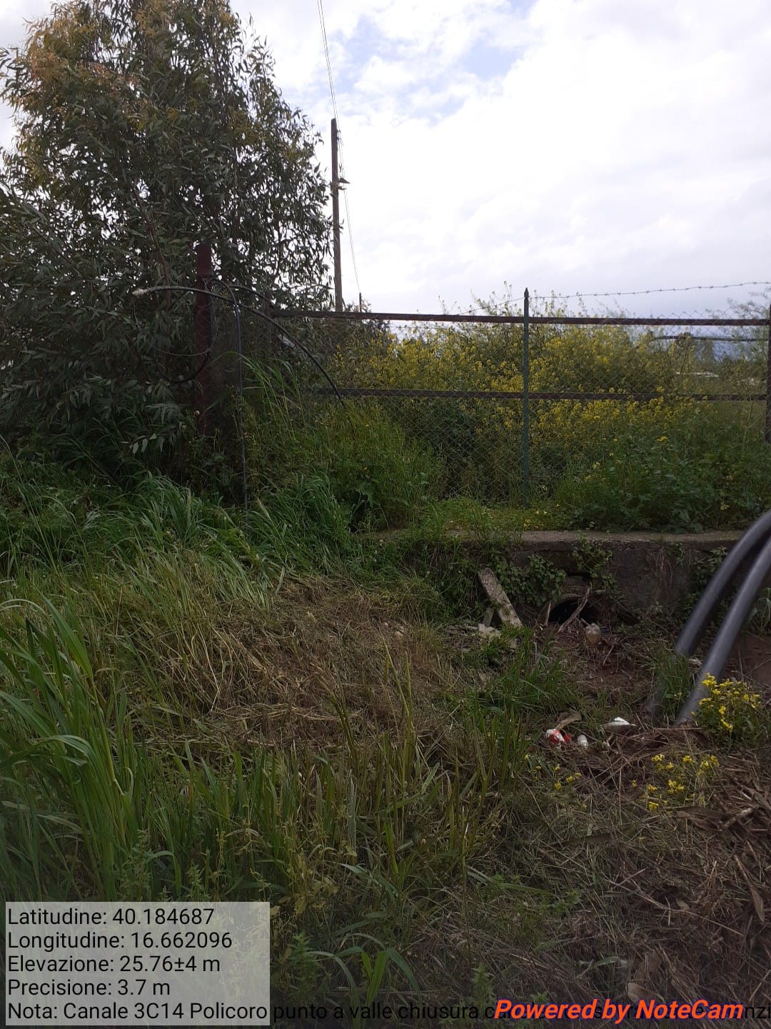 Galleria Fotografica Immagine