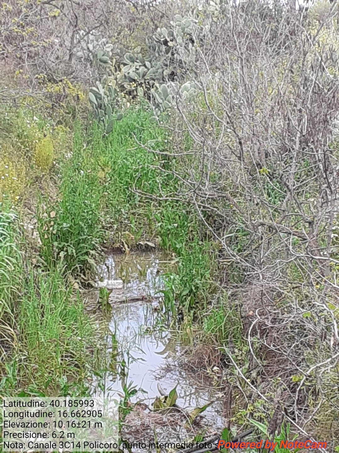 Galleria Fotografica Immagine