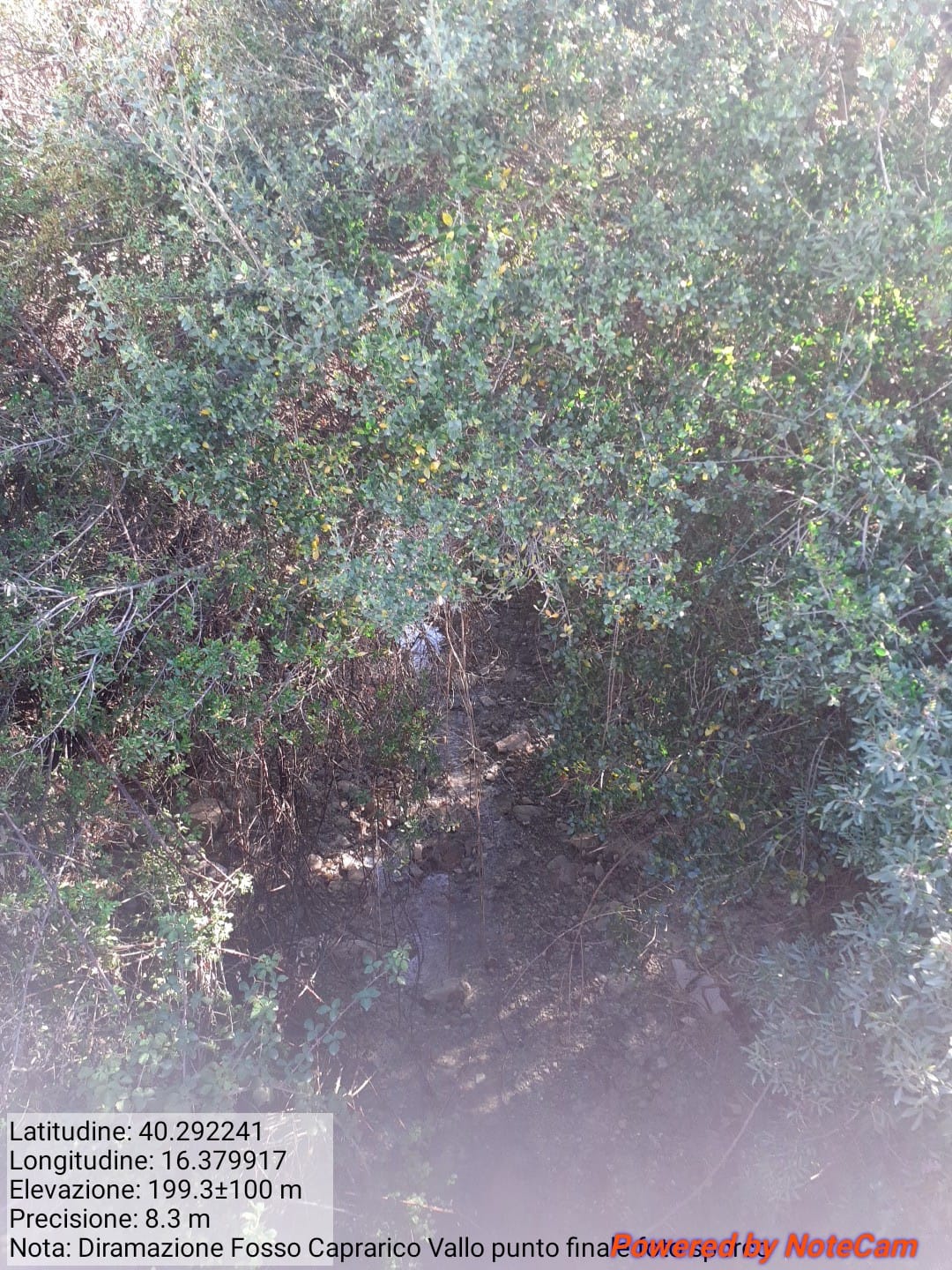 Galleria Fotografica Immagine