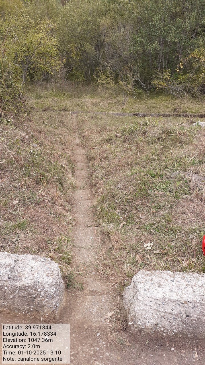 Galleria Fotografica Immagine