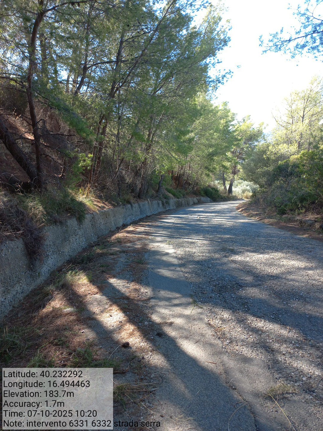 Galleria Fotografica Immagine