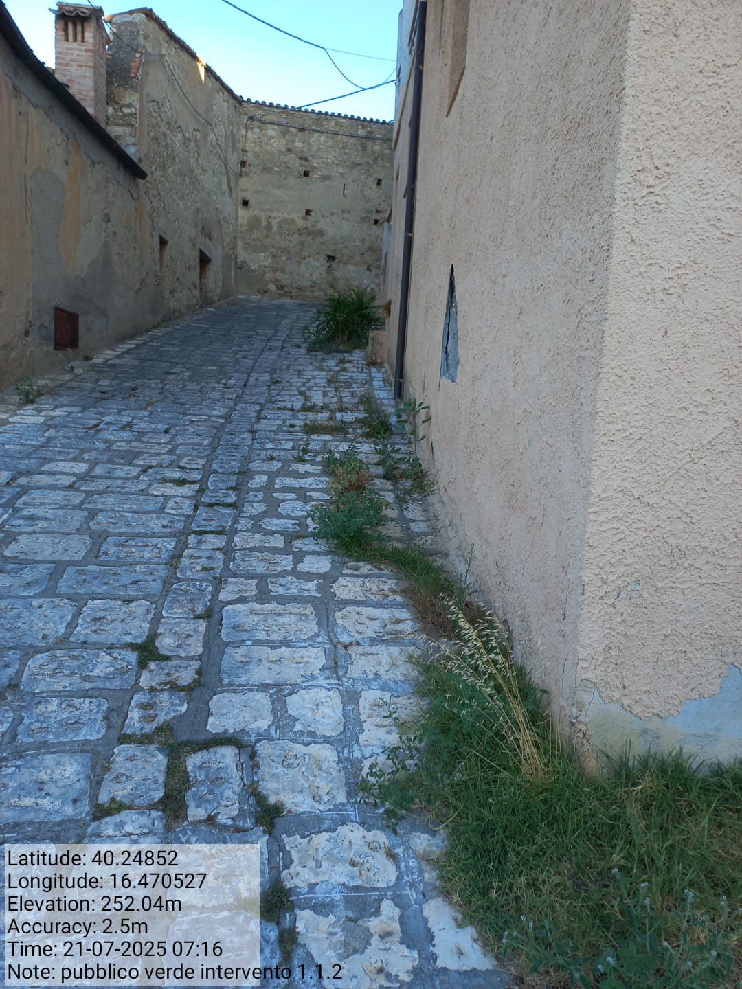 Galleria Fotografica Immagine