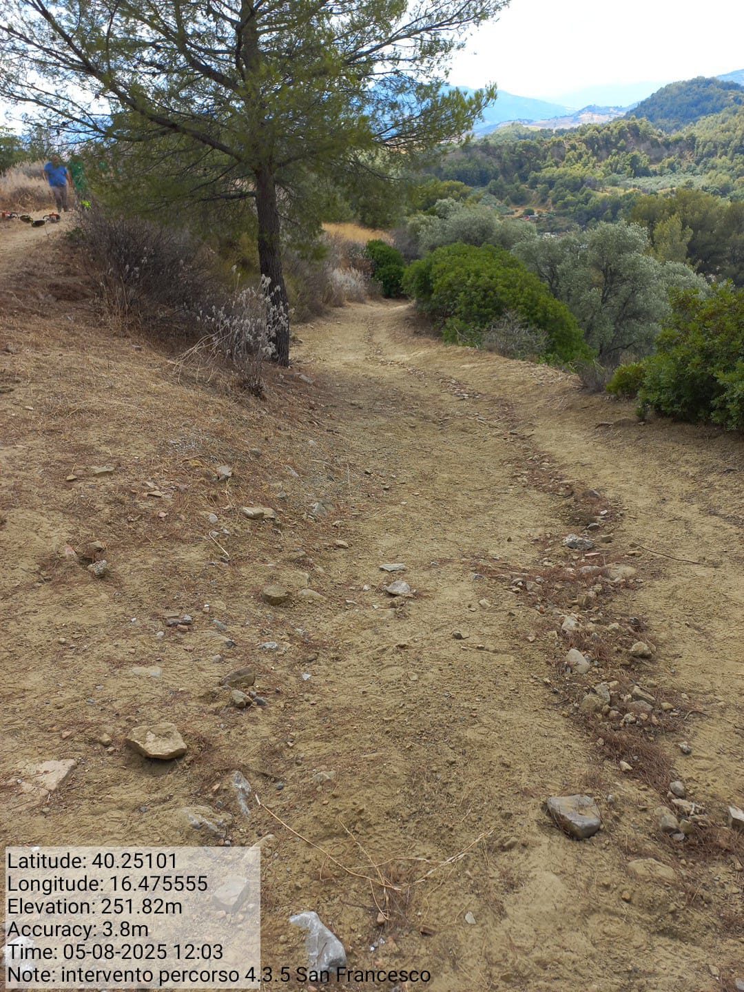 Galleria Fotografica Immagine