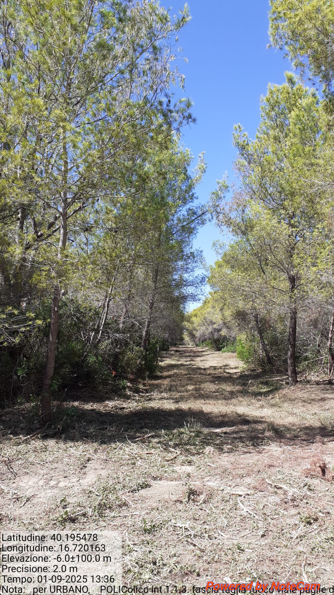 Galleria Fotografica Immagine