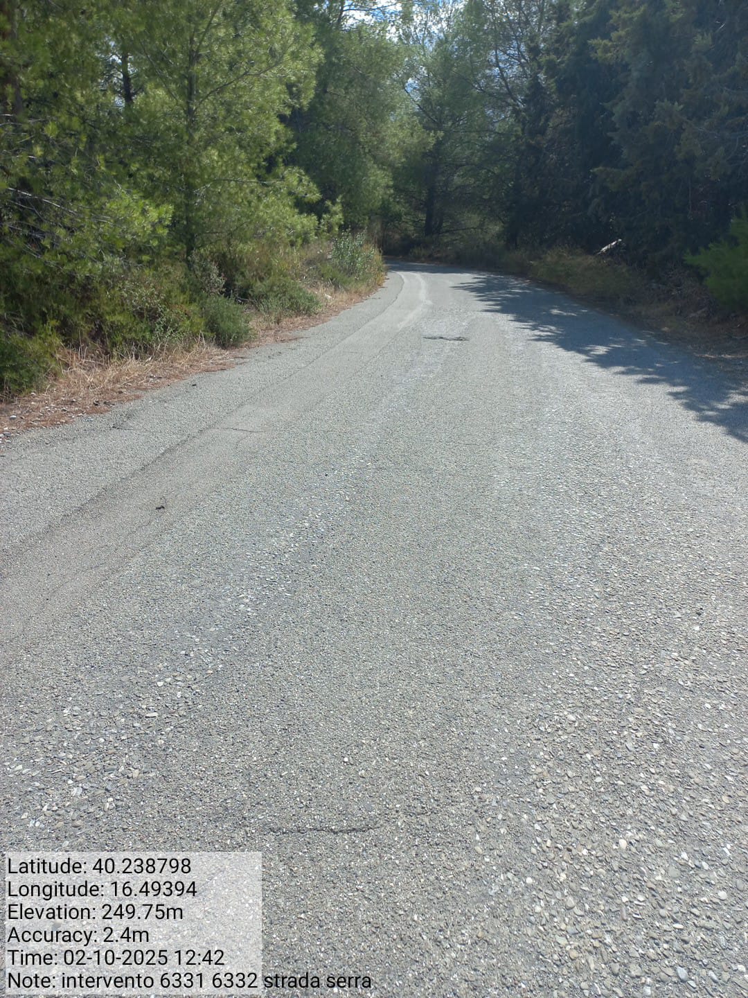 Galleria Fotografica Immagine