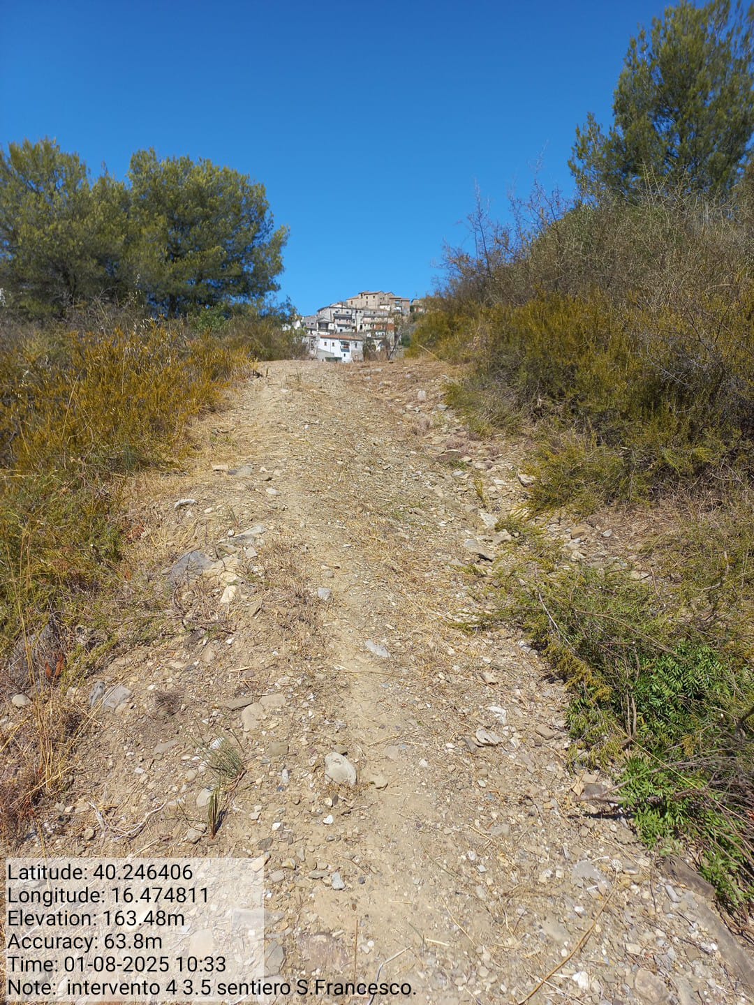 Galleria Fotografica Immagine