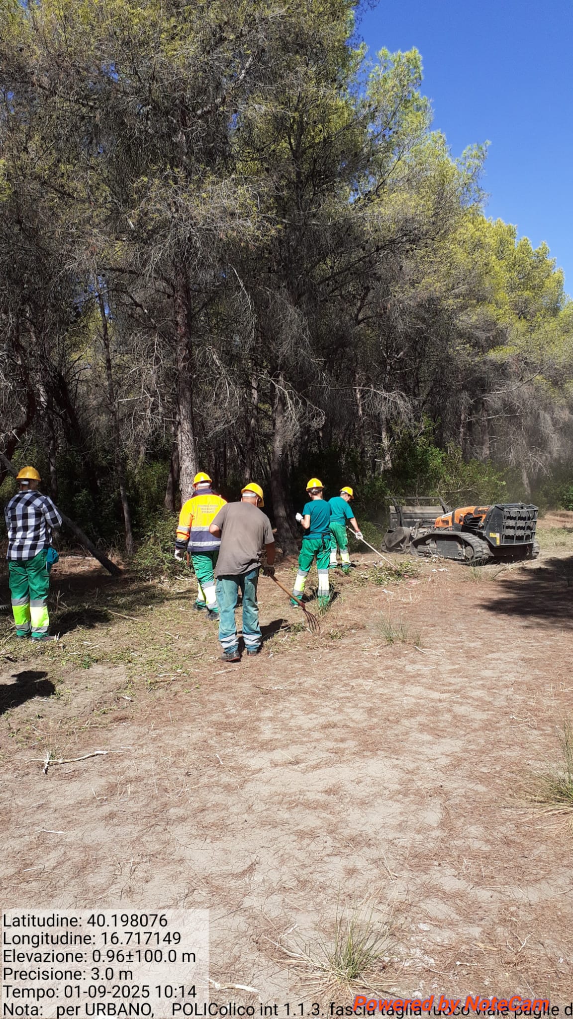 Galleria Fotografica Immagine