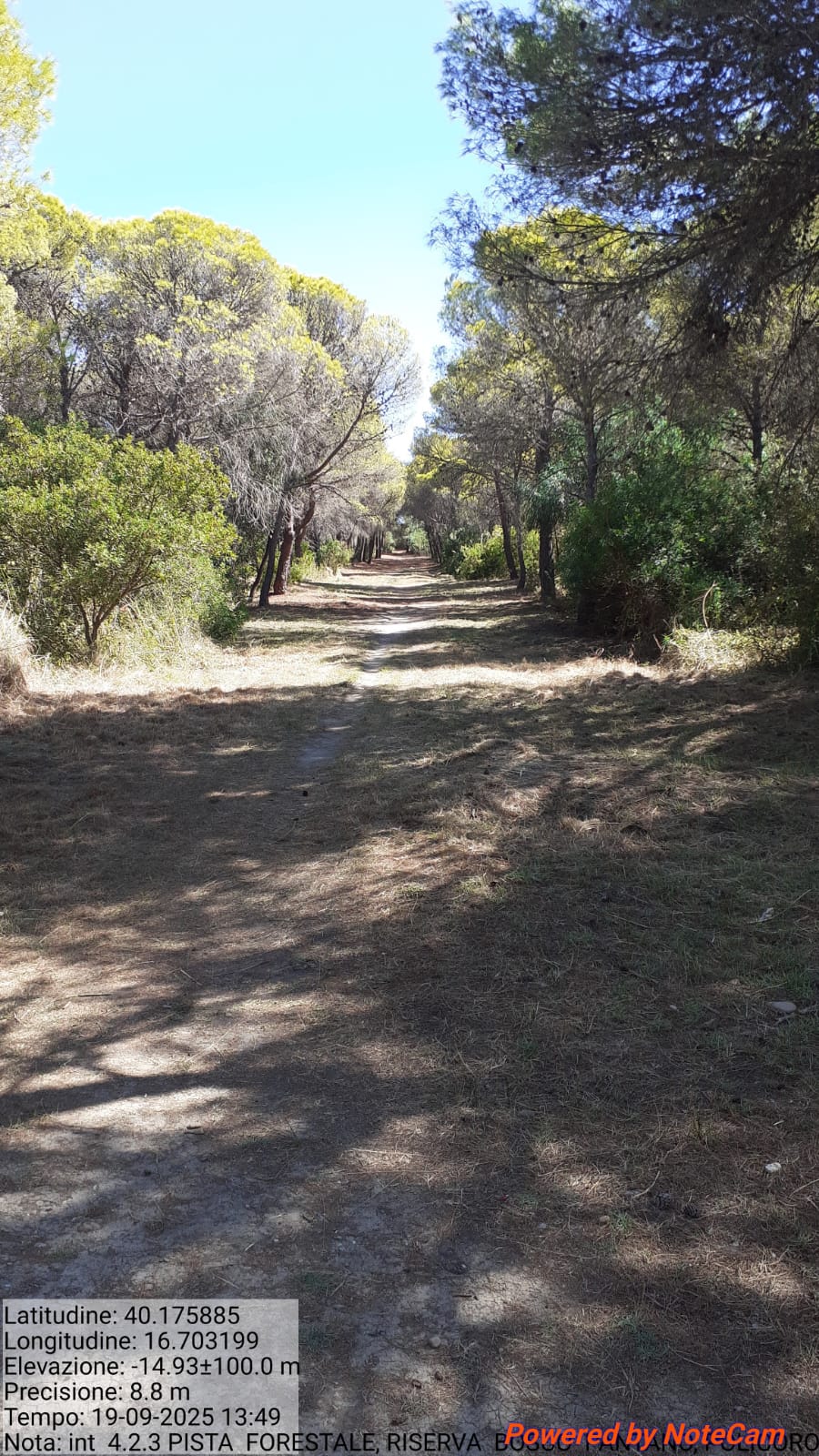 Galleria Fotografica Immagine