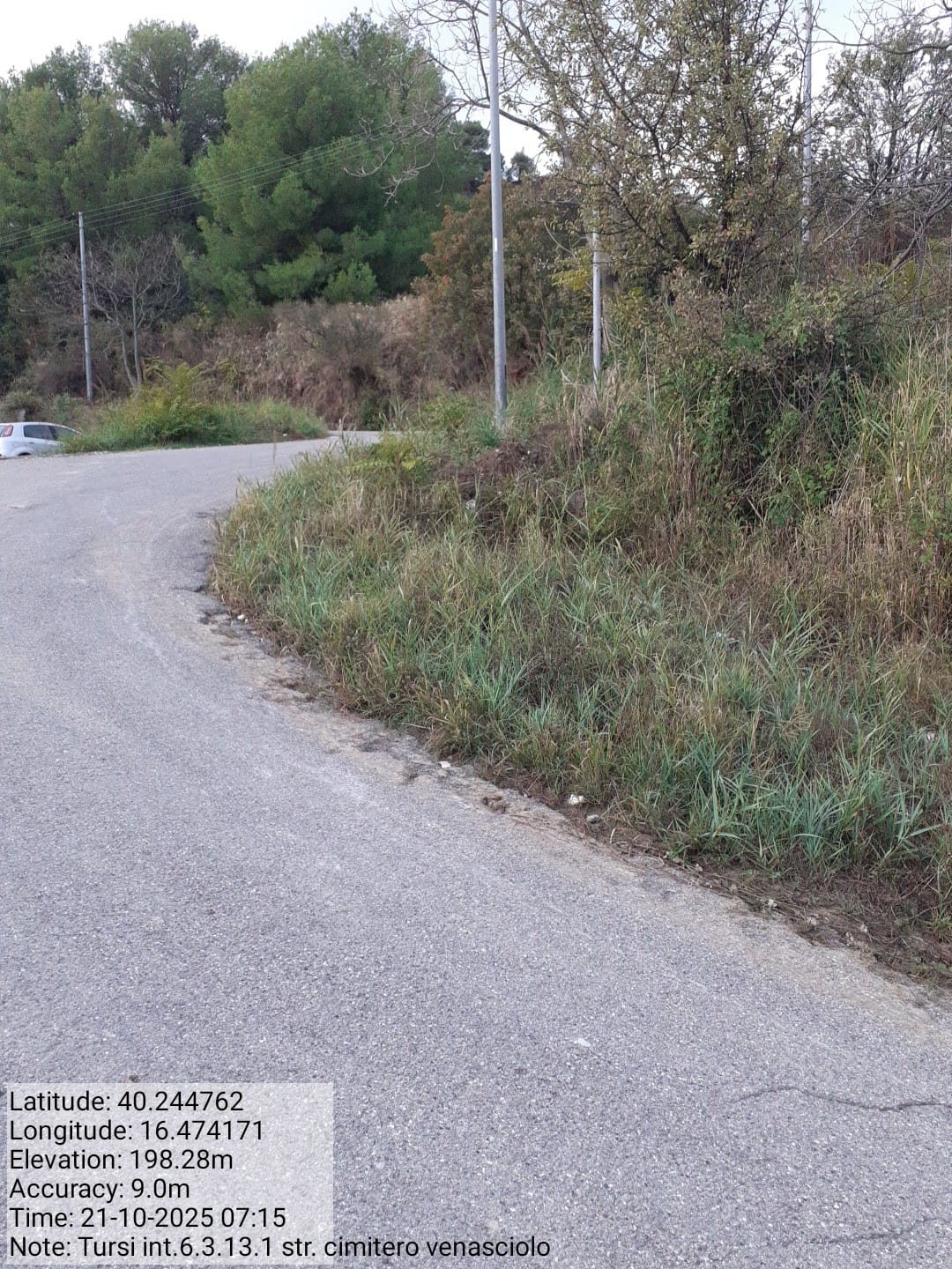 Galleria Fotografica Immagine