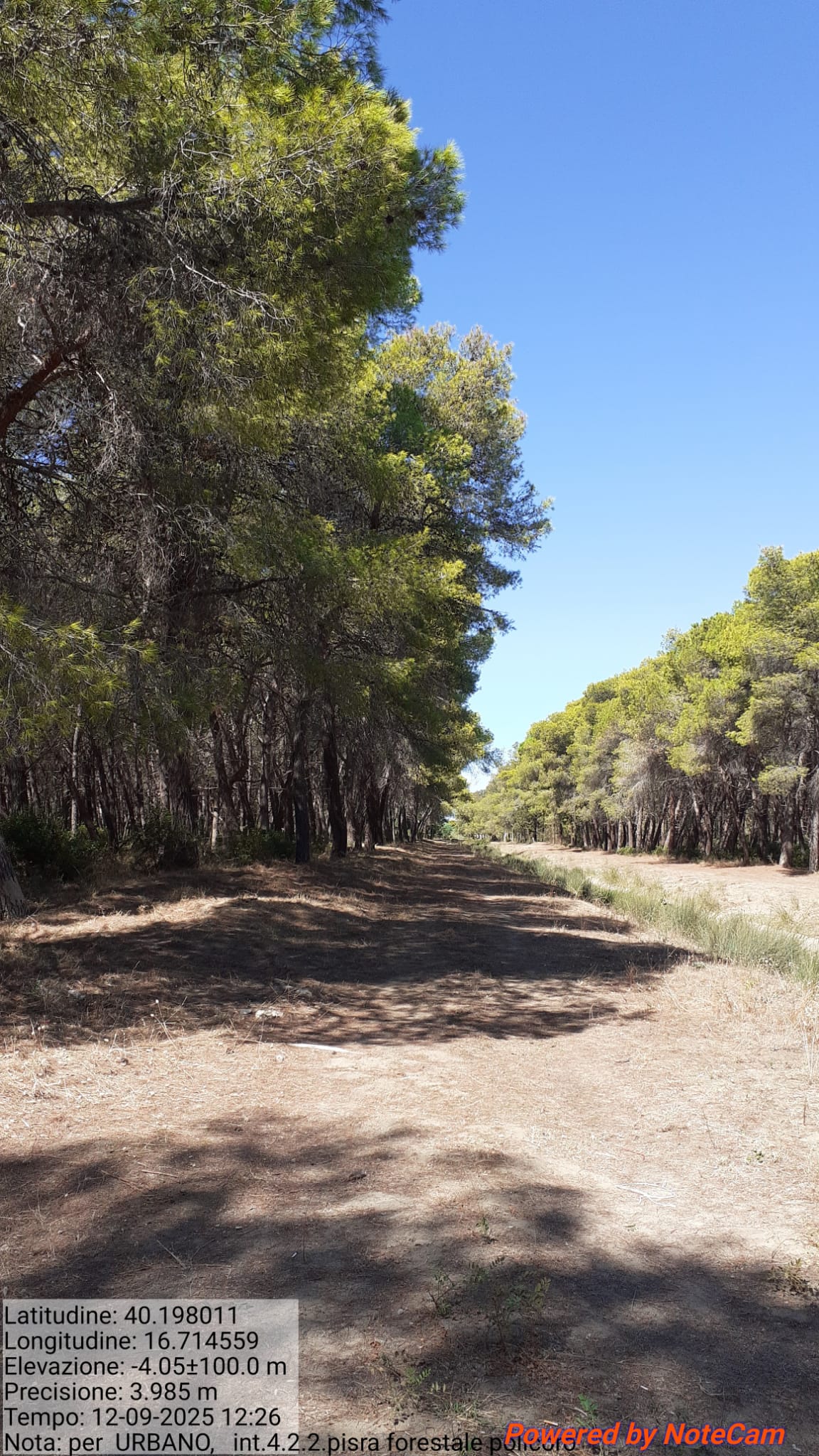 Galleria Fotografica Immagine