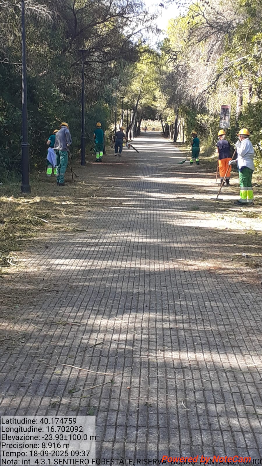 Galleria Fotografica Immagine