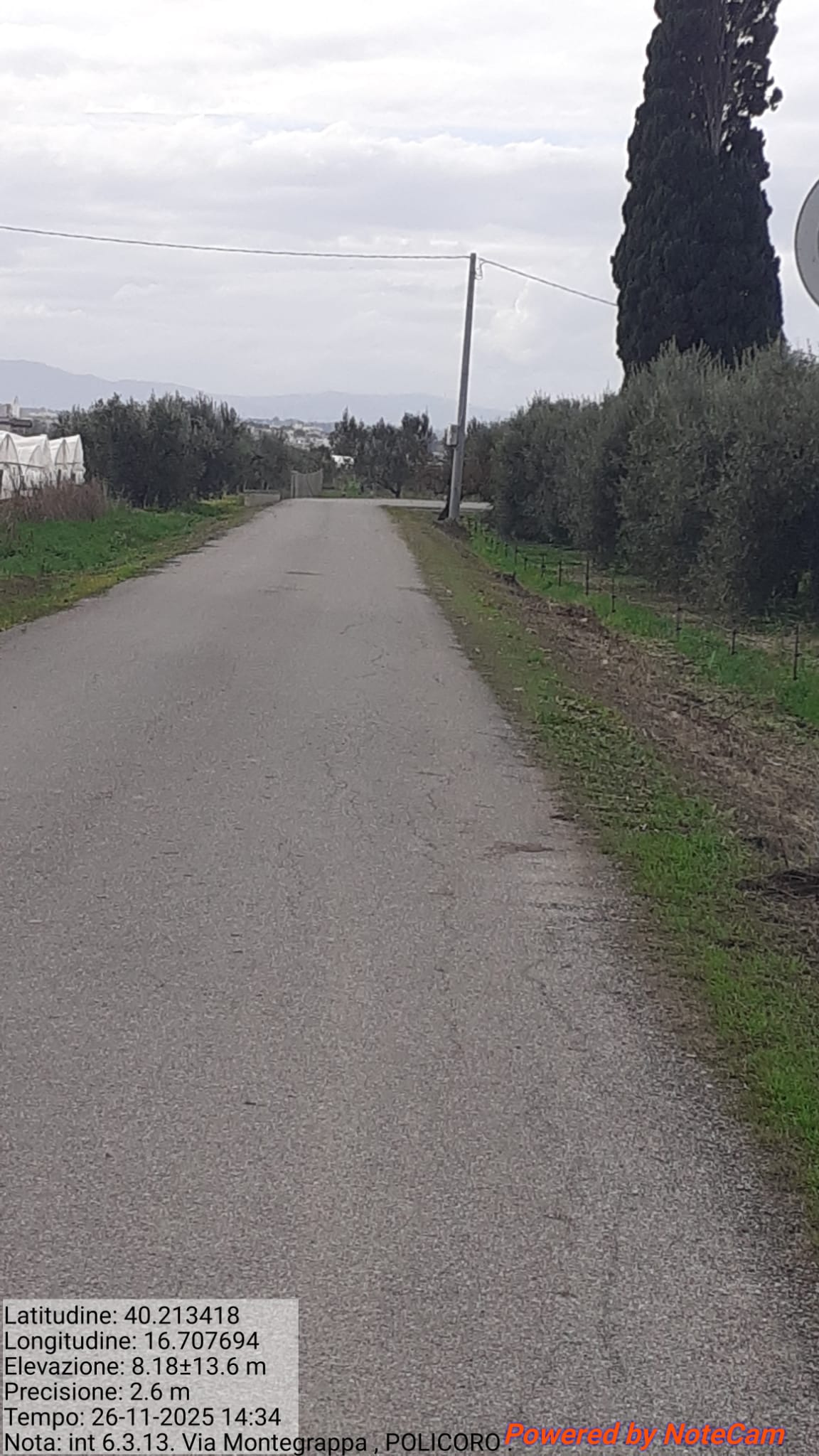 Galleria Fotografica Immagine