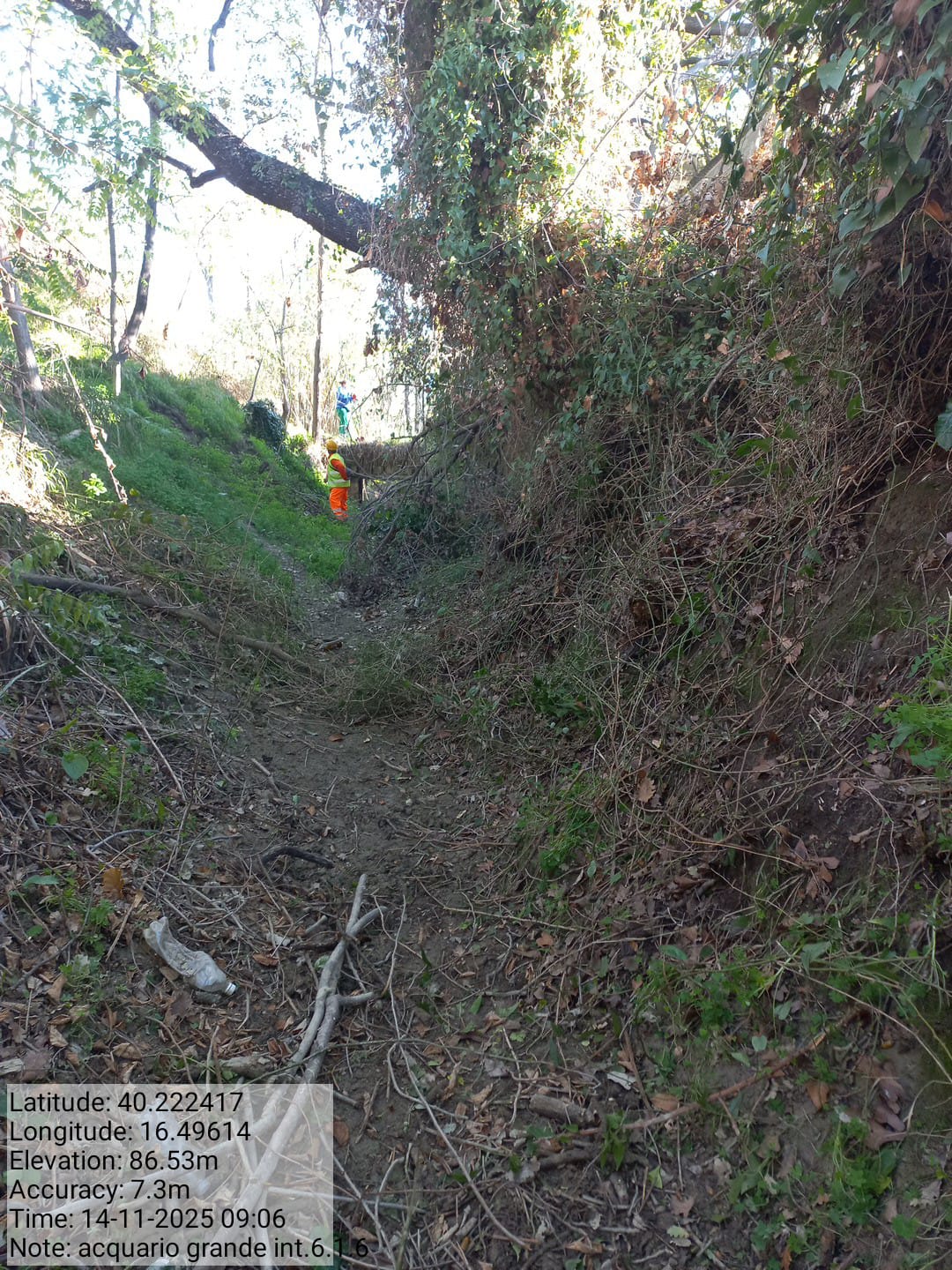 Galleria Fotografica Immagine