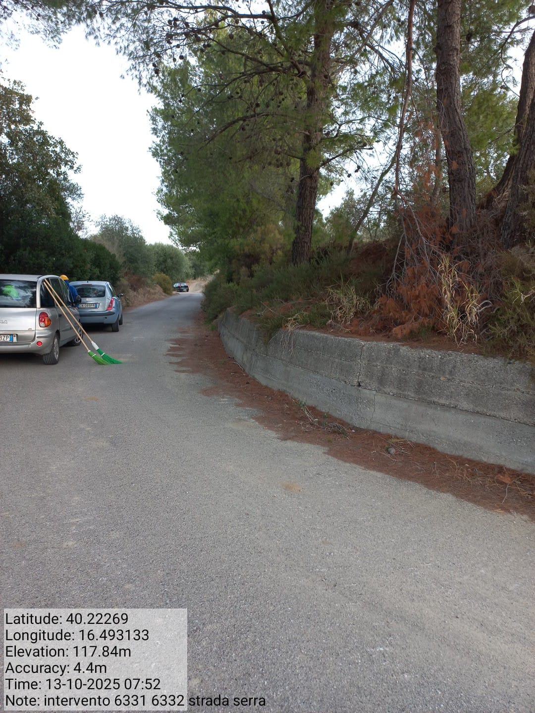 Galleria Fotografica Immagine