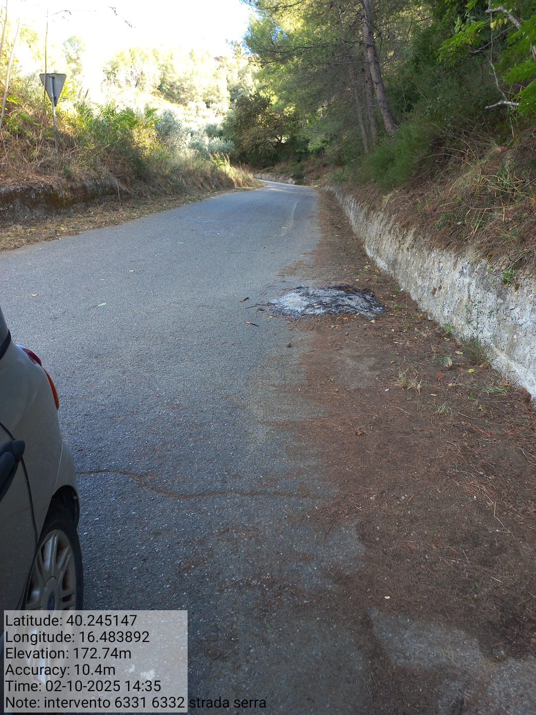 Galleria Fotografica Immagine