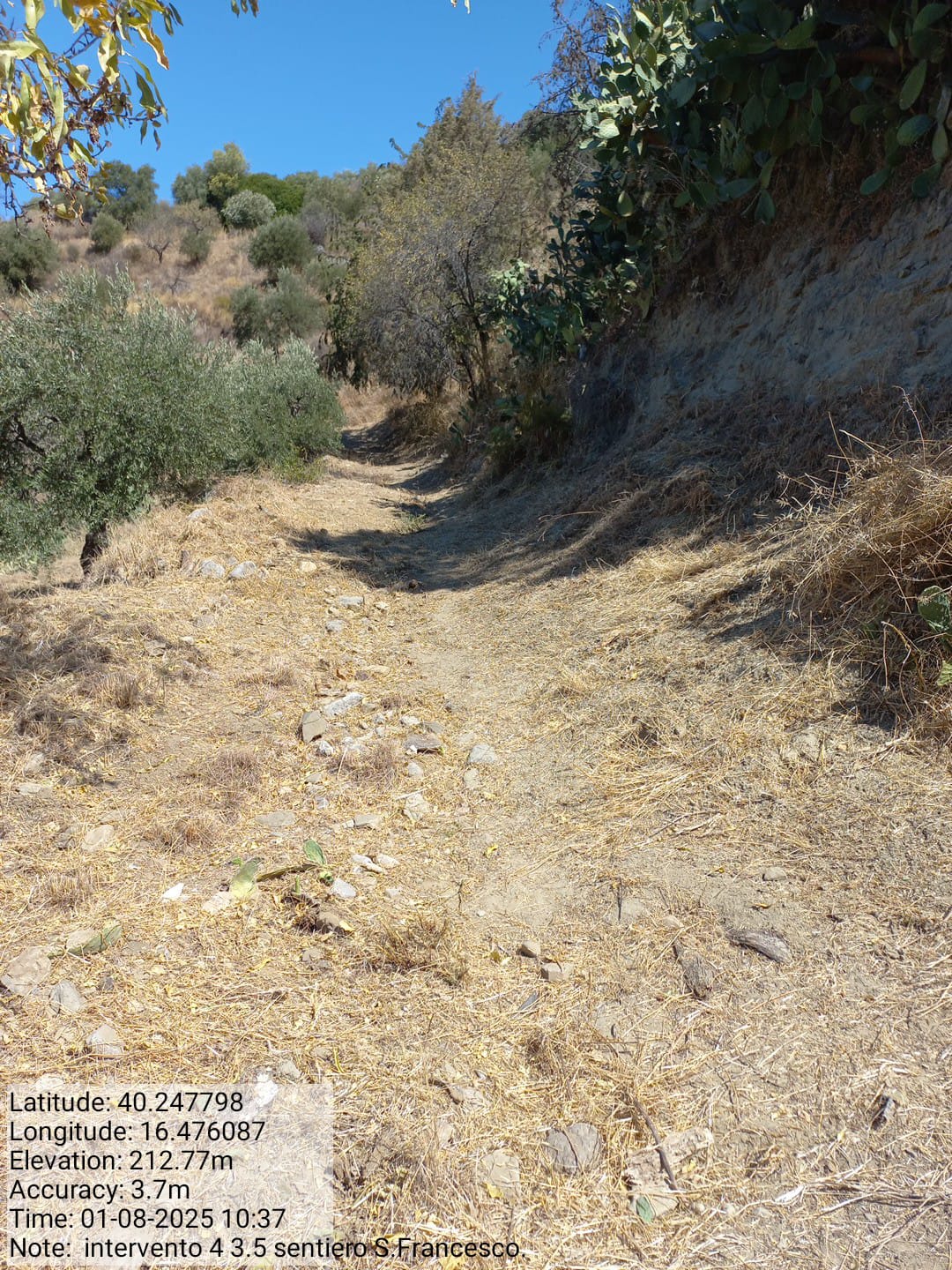 Galleria Fotografica Immagine