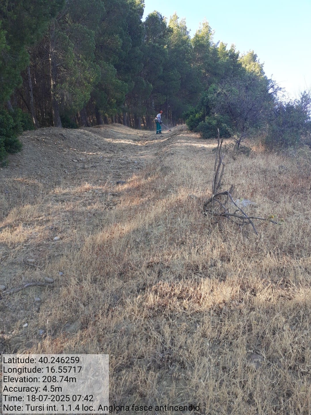 Galleria Fotografica Immagine