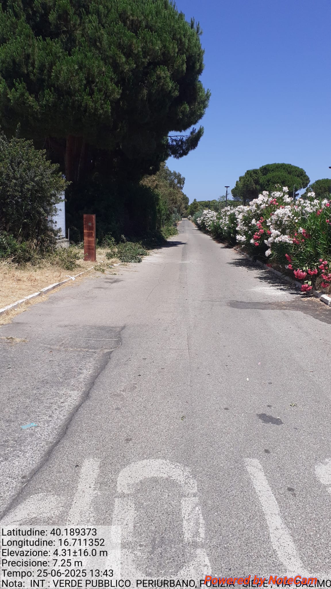 Galleria Fotografica Immagine