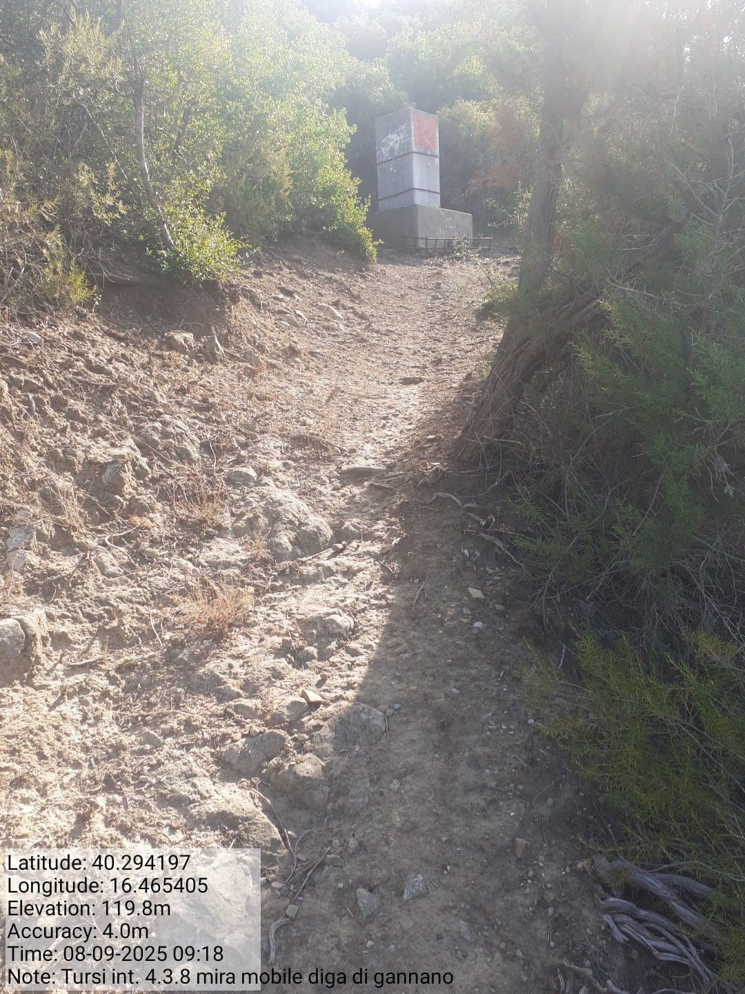 Galleria Fotografica Immagine