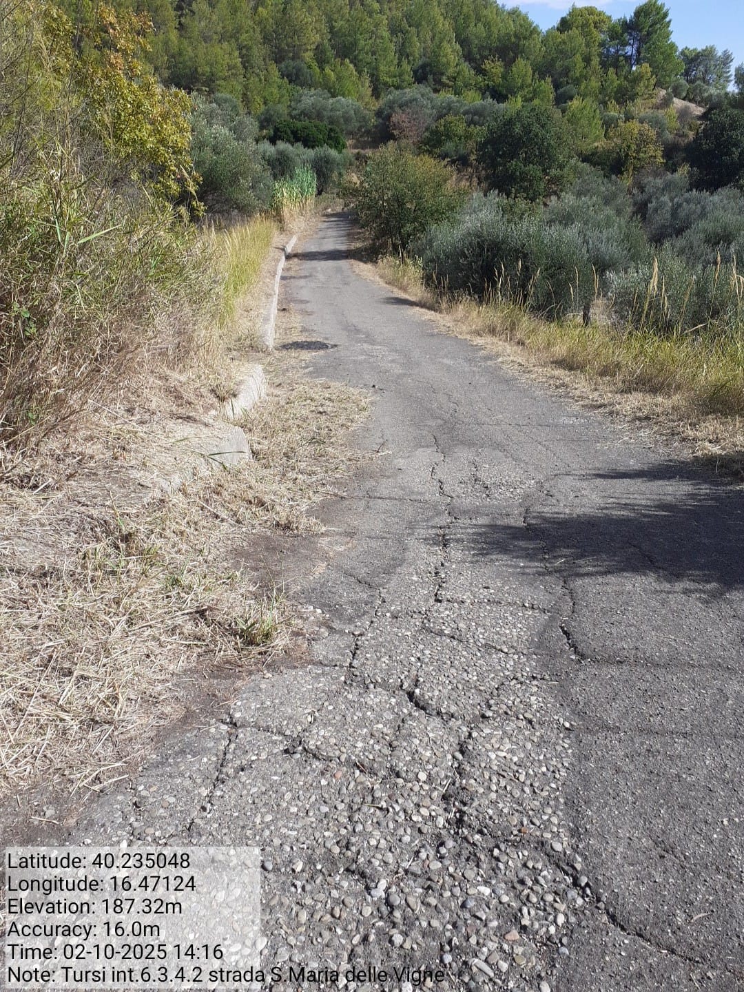 Galleria Fotografica Immagine