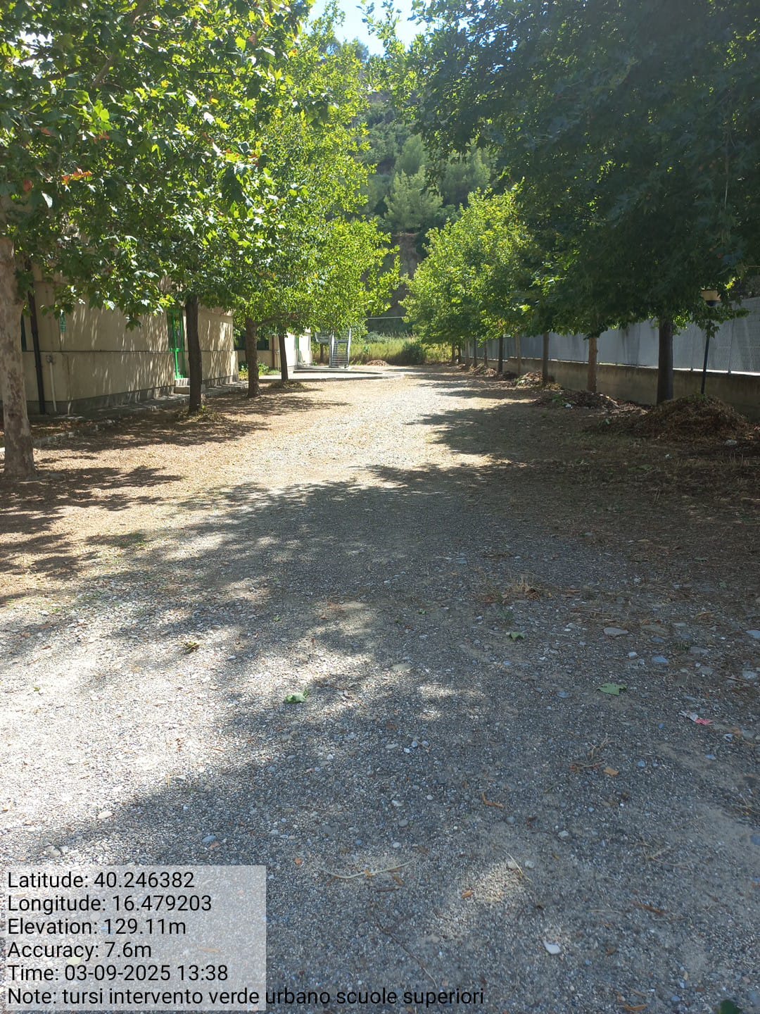 Galleria Fotografica Immagine