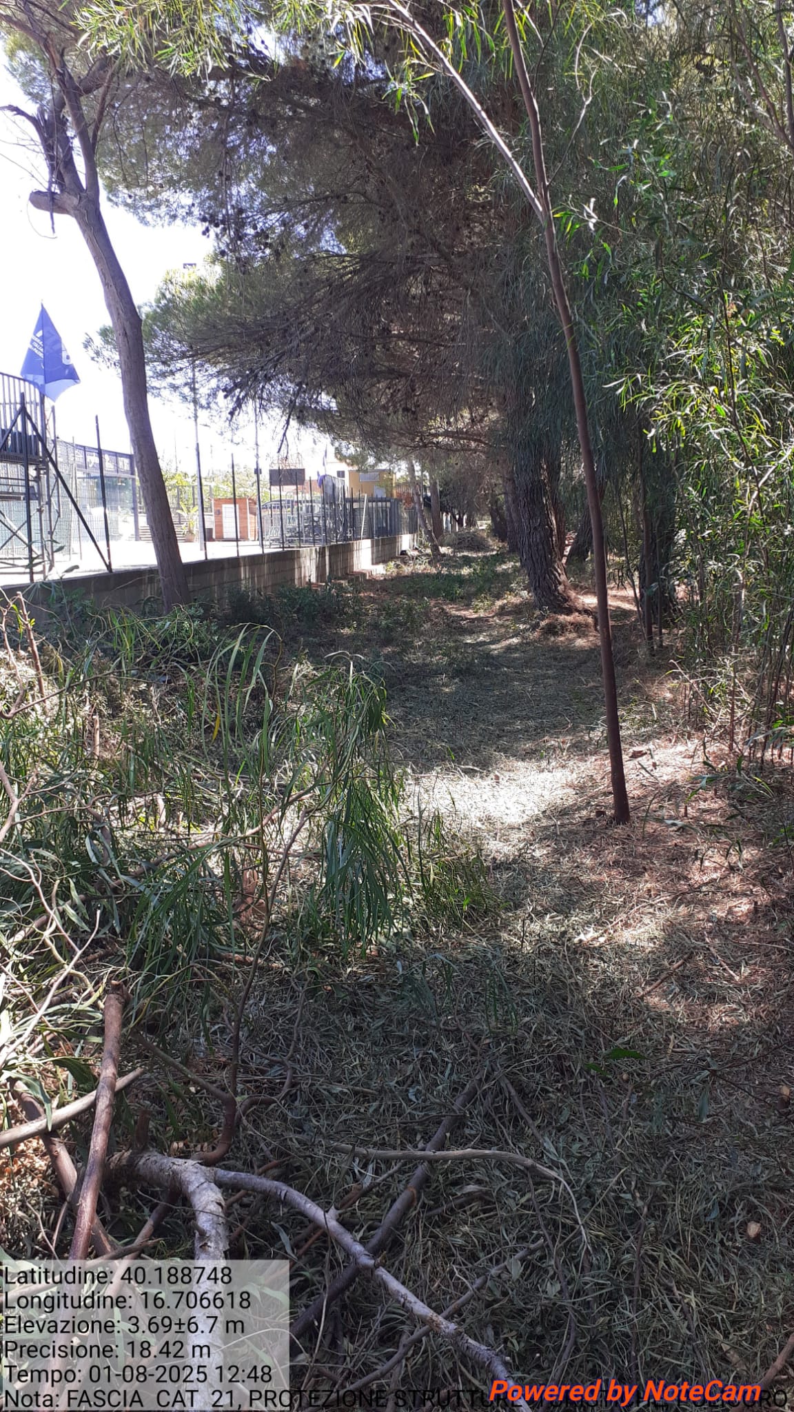 Galleria Fotografica Immagine