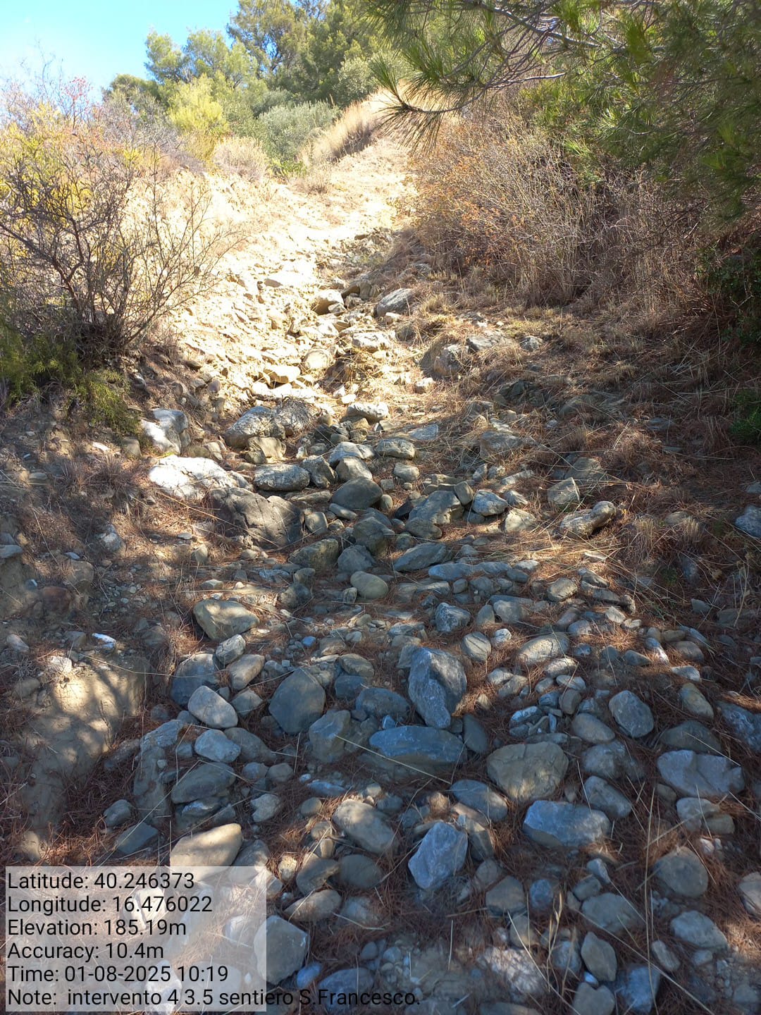 Galleria Fotografica Immagine