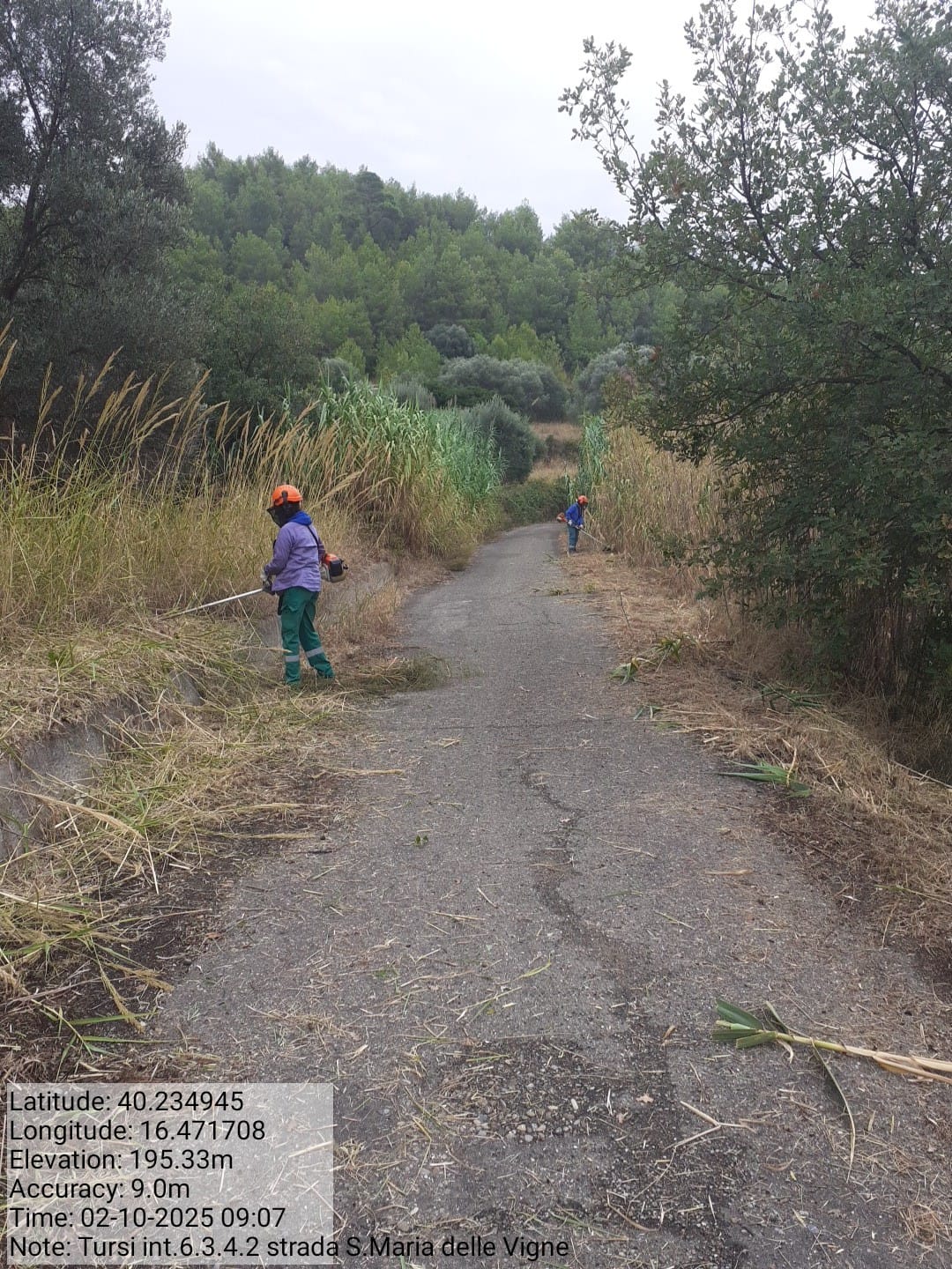 Galleria Fotografica Immagine