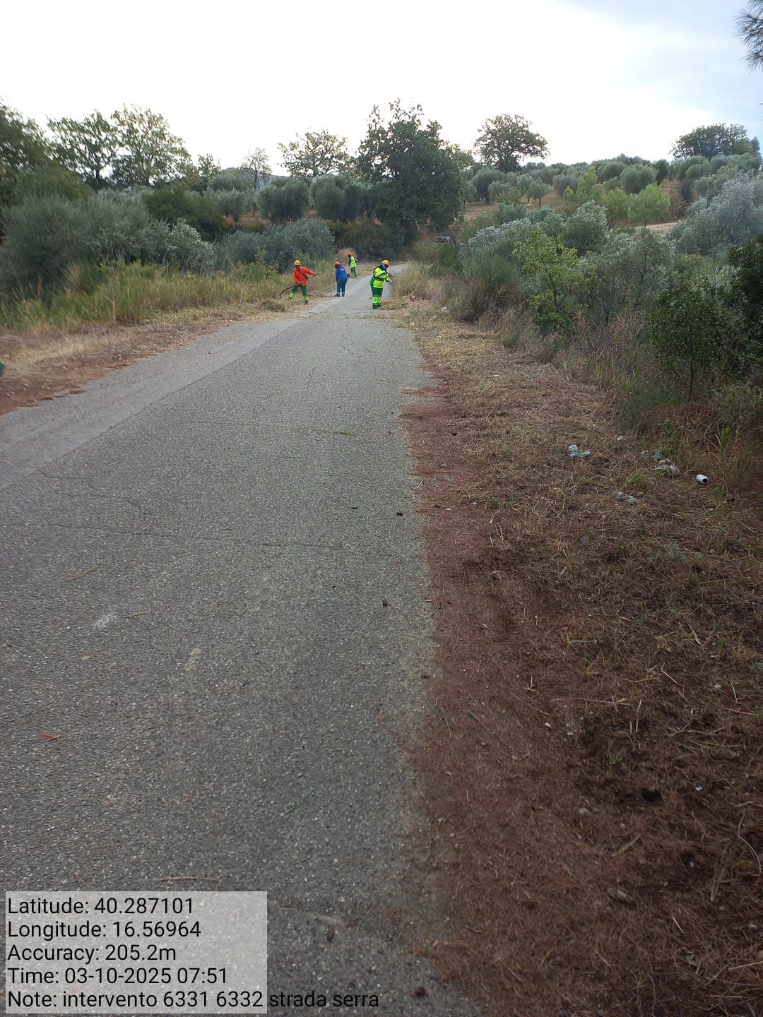 Galleria Fotografica Immagine