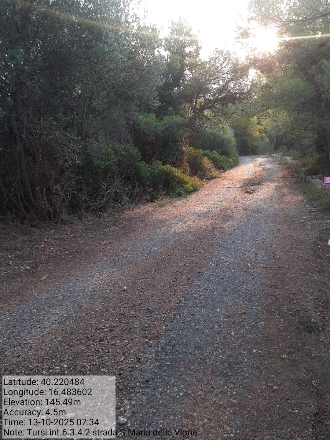 Galleria Fotografica Immagine