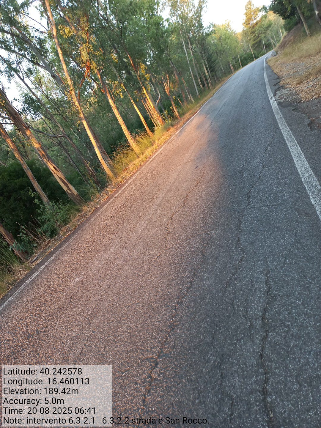 Galleria Fotografica Immagine