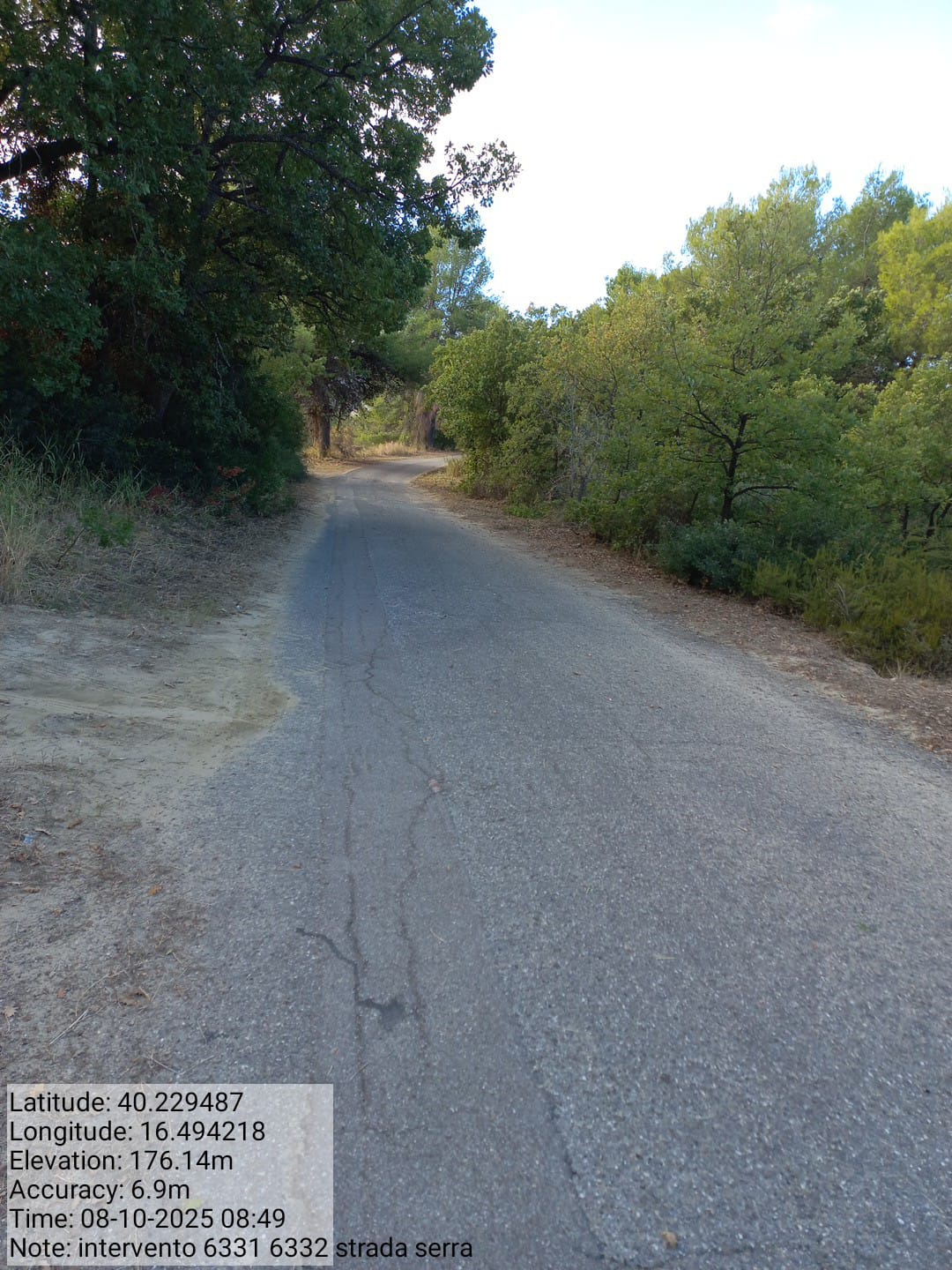 Galleria Fotografica Immagine