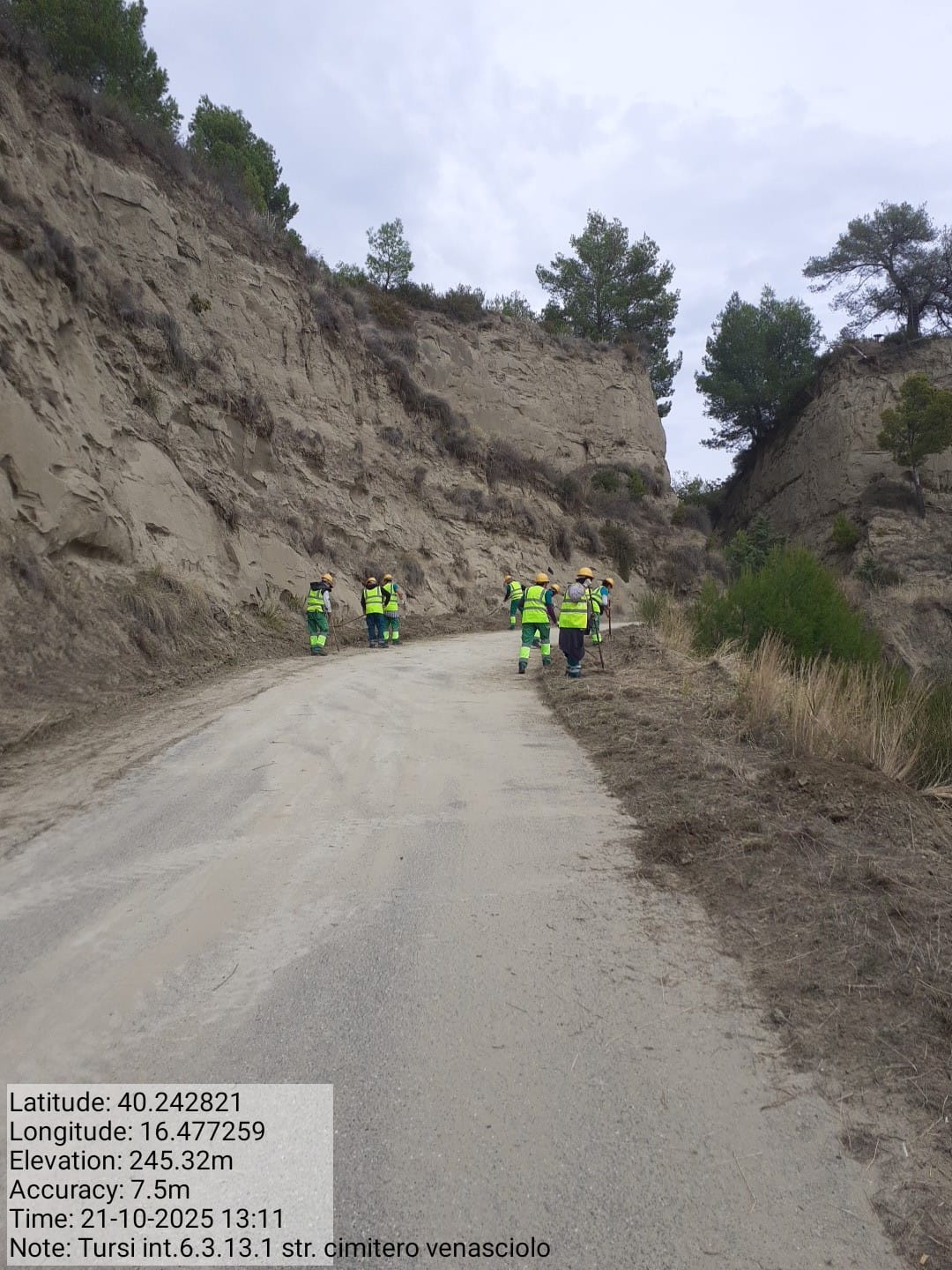 Galleria Fotografica Immagine