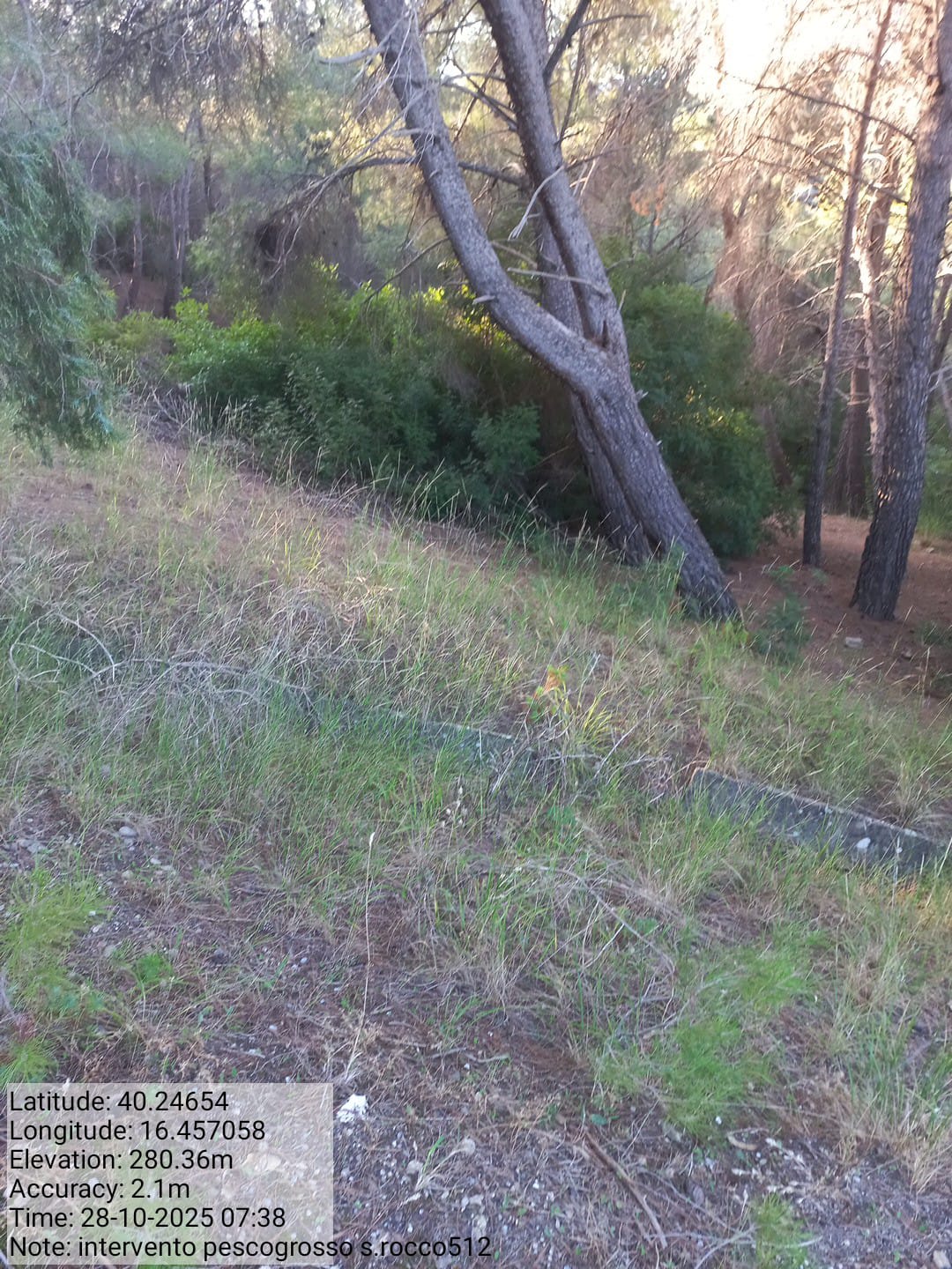 Galleria Fotografica Immagine