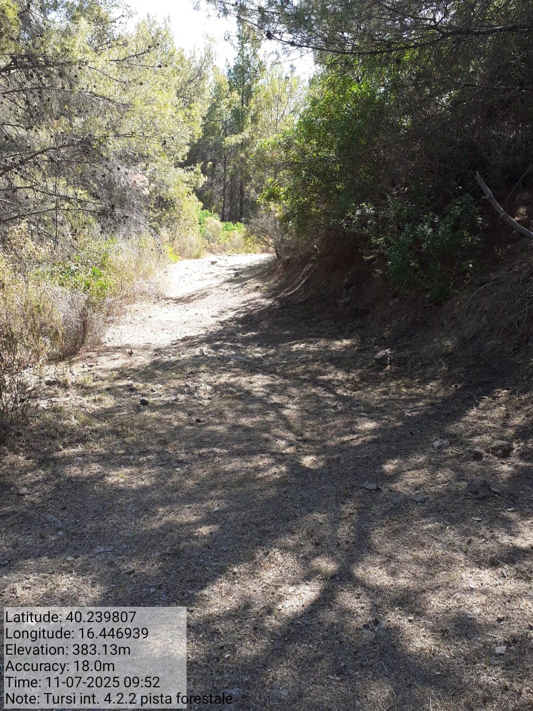 Galleria Fotografica Immagine