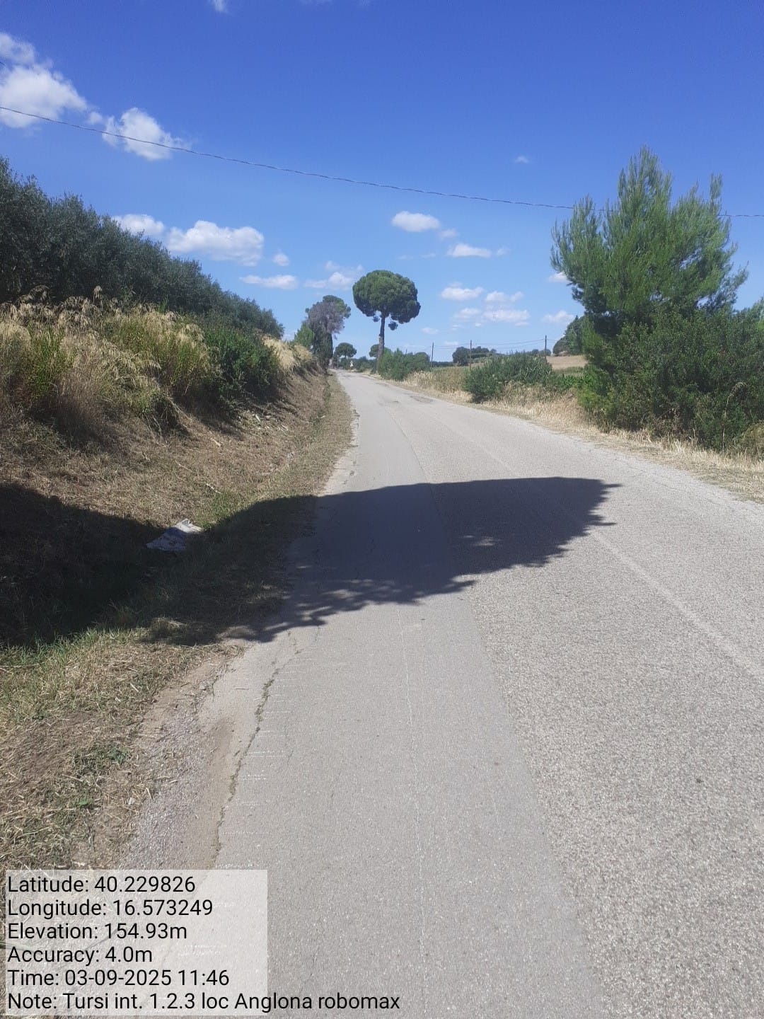 Galleria Fotografica Immagine