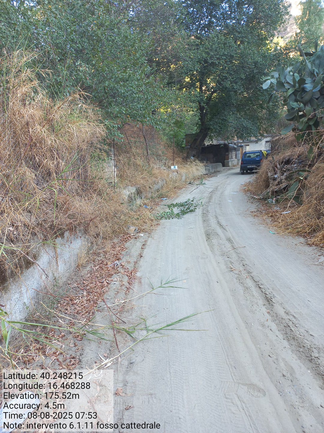 Galleria Fotografica Immagine