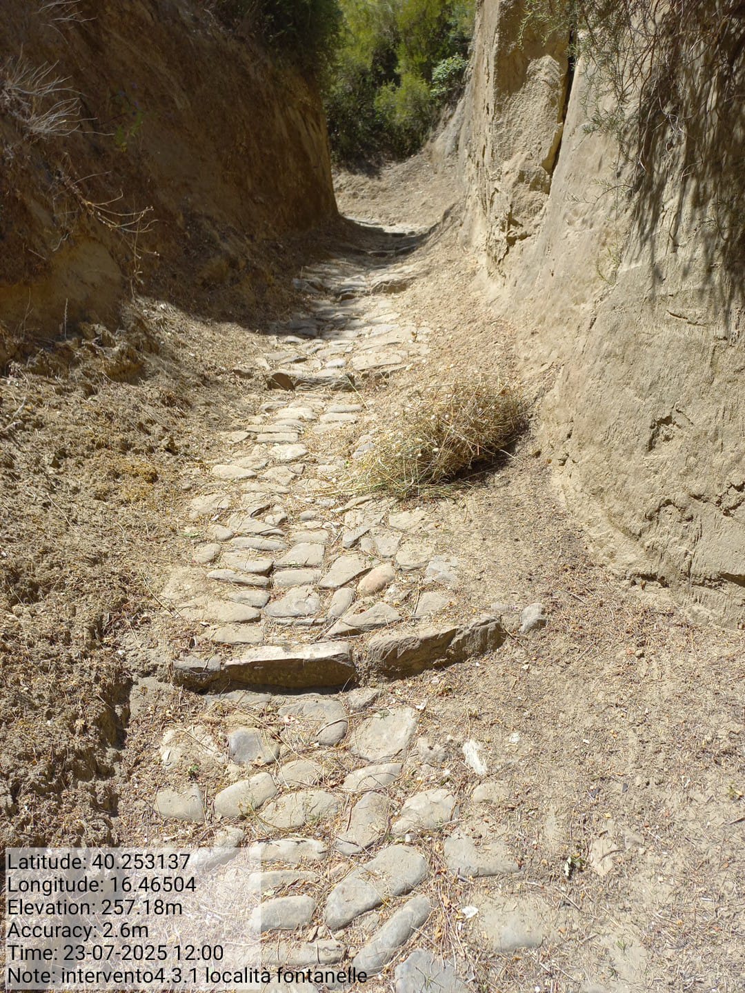 Galleria Fotografica Immagine