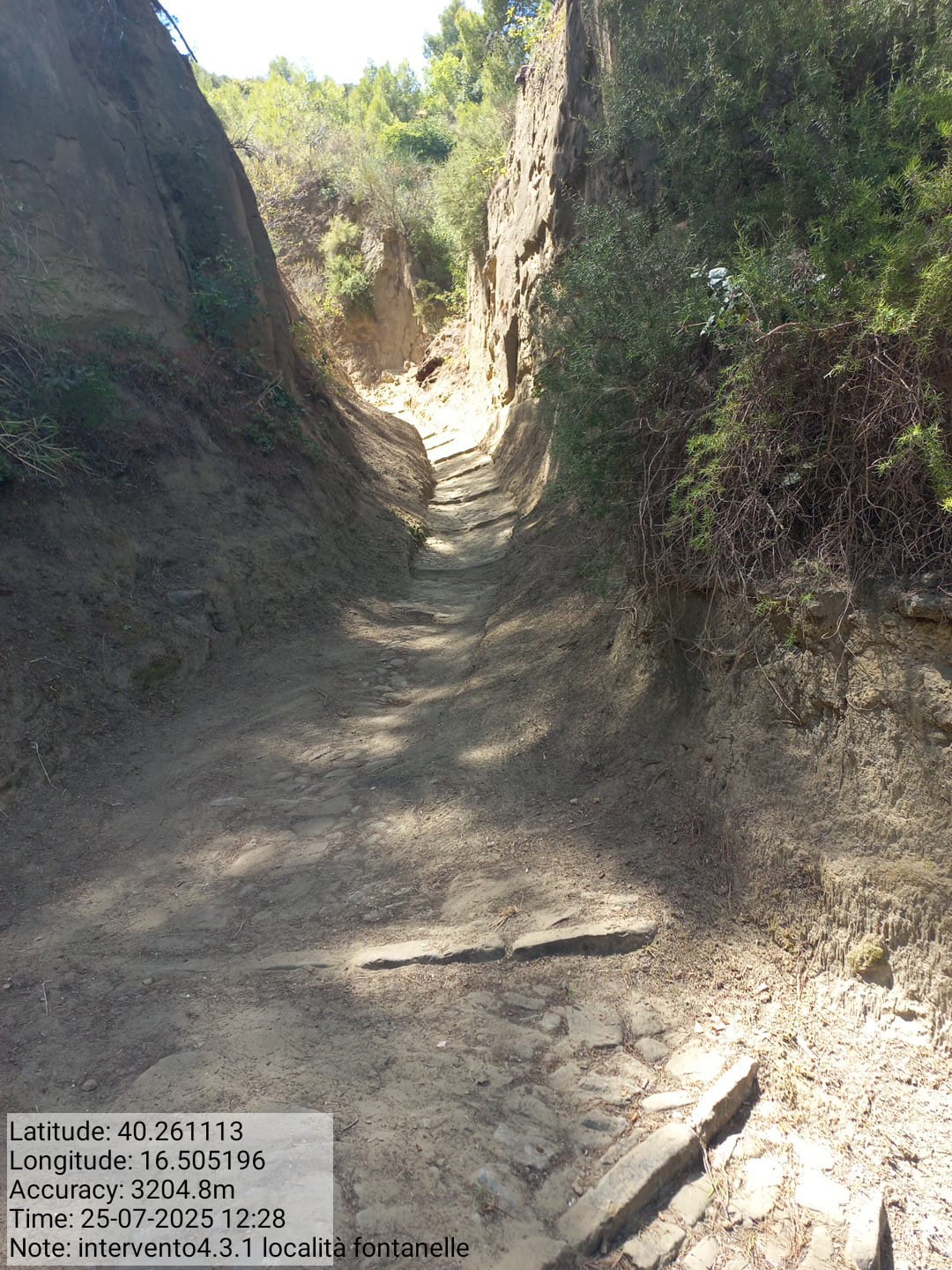 Galleria Fotografica Immagine