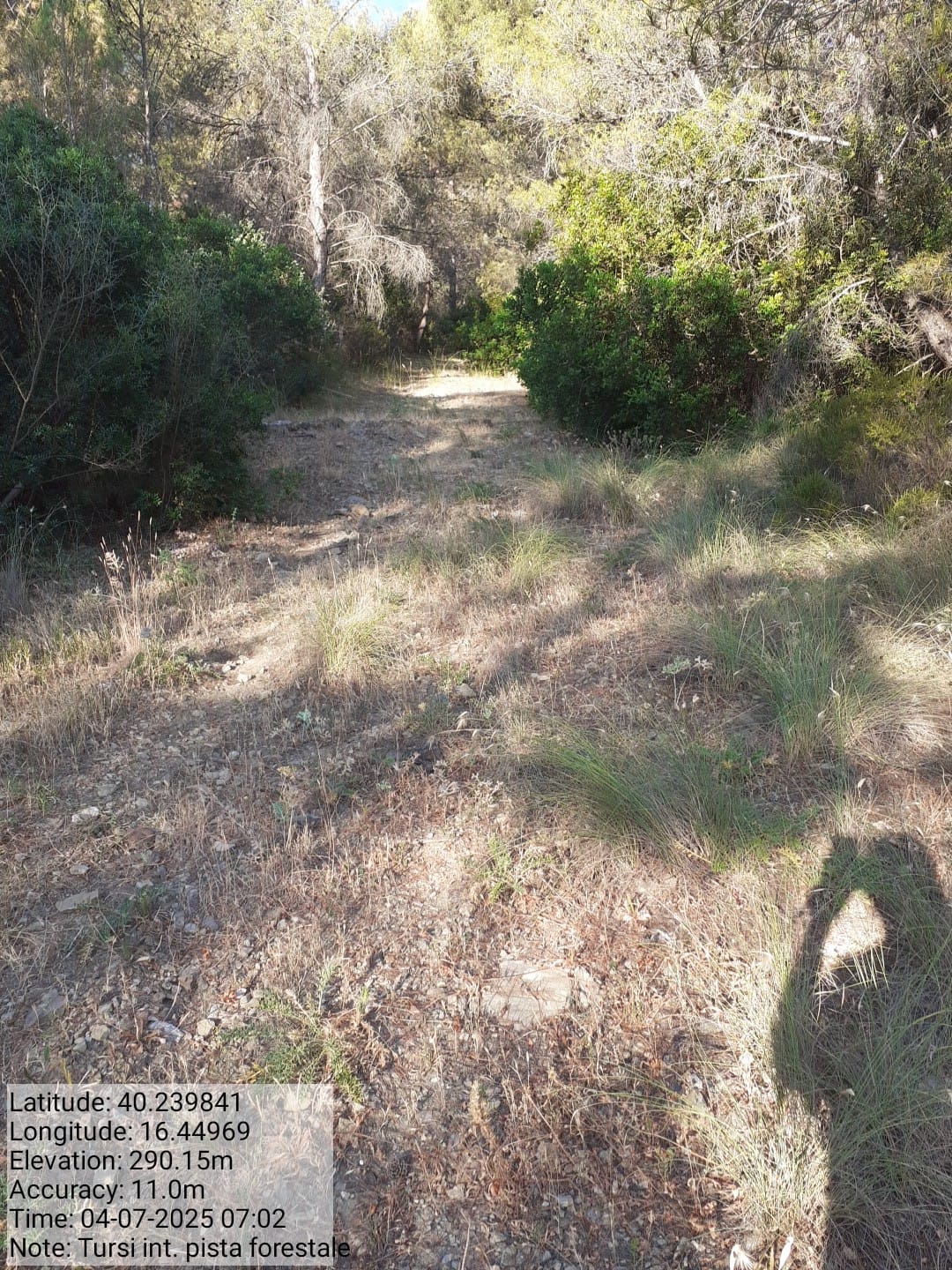 Galleria Fotografica Immagine